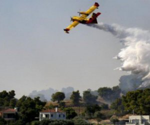 https://www.tp24.it/immagini_articoli/16-05-2017/1494962207-0-arriva-lestate-rischio-incendi-alto-in-sicilia-e-la-regione-che-fa.jpg