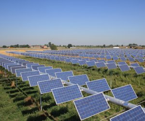 https://www.tp24.it/immagini_articoli/16-06-2021/1623864465-0-nbsp-solare-in-sicilia-l-assalto-ai-terreni-l-agro-fotovoltaico-e-il-progetto-engie-amazon-a-mazara.png
