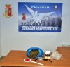 https://www.tp24.it/immagini_articoli/16-09-2020/1600238223-0-mezzo-chilo-di-marijuana-in-casa-arrestato-spacciatore-a-mazara.jpg