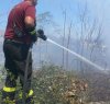 https://www.tp24.it/immagini_articoli/16-10-2016/1476601488-0-alcamo-incendio-nella-zona-artigianale.jpg