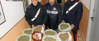https://www.tp24.it/immagini_articoli/16-11-2016/1479288702-0-campobello-gli-trovano-in-casa-72-chili-di-marijuana-arrestato-dai-carabinieri.jpg