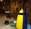 https://www.tp24.it/immagini_articoli/16-12-2019/1576484512-0-marsala-bella-fitusa-banchetto-cani-rifiuti-centro.jpg