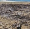 https://www.tp24.it/immagini_articoli/17-02-2022/1645097468-0-campobello-una-mozione-per-nbsp-la-rimozione-dei-rifiuti-sulla-spiaggia-di-tre-fontane.jpg