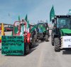 https://www.tp24.it/immagini_articoli/17-02-2024/1708136164-0-le-proteste-degli-agricoltori-con-il-raduno-dei-trattori-a-marsala-oggi-la-sfilata-nbsp.jpg