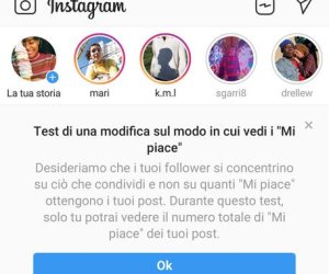 https://www.tp24.it/immagini_articoli/17-07-2019/1563380207-0-instagram-nasconde-like-test-italia.jpg