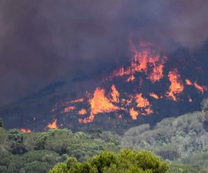 https://www.tp24.it/immagini_articoli/17-08-2022/1660727603-0-incendi-nella-notte-a-calatafimi-e-nel-palermitano.jpg