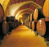 https://www.tp24.it/immagini_articoli/17-09-2013/1379403281-0-tassa-sui-rifiuti-per-le-aziende-vinicole-marsalesi-c-e-lo-sconto.jpg