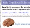 https://www.tp24.it/immagini_articoli/17-09-2013/1379491772-1-cervello-umano-programmato-per-empatia.jpg