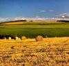 https://www.tp24.it/immagini_articoli/17-09-2015/1442492576-0-agricoltura-siciliana-boom-di-occupati-tra-i-giovani-le-storie-e-i-numeri.jpg