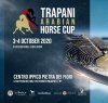 https://www.tp24.it/immagini_articoli/18-09-2020/1600465840-0-trapani-arabian-horses-cup-2020.jpg