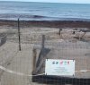 https://www.tp24.it/immagini_articoli/18-11-2018/1542531763-0-schiuso-nido-caretta-caretta-spiaggia-petrosino.jpg