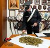 https://www.tp24.it/immagini_articoli/18-11-2022/1668760222-0-aveva-in-casa-400-grammi-di-marijuana-un-arresto-a-pantelleria.jpg