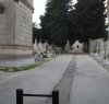 https://www.tp24.it/immagini_articoli/19-01-2017/1484801152-0-castelvetrano-va-a-fare-visita-alla-moglie-defunta-uomo-muore-al-cimitero.jpg