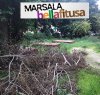 https://www.tp24.it/immagini_articoli/19-01-2020/1579437212-0-marsala-bella-fitusa-vergogna-degrado-giardini-piazza-caprera.jpg