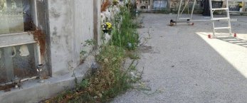 https://www.tp24.it/immagini_articoli/19-09-2023/1695116841-0-sempre-piu-degradante-la-situazione-al-cimitero-di-marsala-le-foto.jpg
