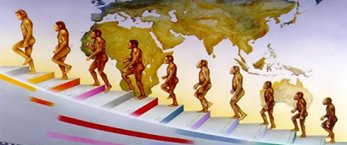 https://www.tp24.it/immagini_articoli/19-10-2011/1379491886-1-trovato-lanello-mancante-tra-scimmia-e-uomo.jpg