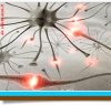 https://www.tp24.it/immagini_articoli/20-02-2012/1379491871-1-troppi-neuroni-nel-cervello-autistico.jpg