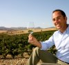 https://www.tp24.it/immagini_articoli/20-02-2017/1487604530-0-viticoltura-ed-export-si-rischia-il-blocco-antonio-rallo-scrive-al-ministro-martina.jpg