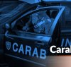 https://www.tp24.it/immagini_articoli/20-04-2020/1587382729-0-campobello-mazara-donna-evade-domiciliari-viene-arrestata-carabinieri.jpg