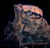 https://www.tp24.it/immagini_articoli/24-03-2021/1616566080-0-etna-un-altra-eruzione-fontane-di-lava-e-boati-il-video.jpg