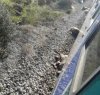 https://www.tp24.it/immagini_articoli/21-02-2017/1487672068-0-marsala-treno-investe-un-gregge-di-pecore.jpg