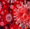 https://www.tp24.it/immagini_articoli/21-03-2020/1584822724-0-custonaci-tommaro-chirco-coronavirus-ecco-cosa-accadendo.jpg