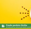 https://www.tp24.it/immagini_articoli/21-03-2024/1711034973-0-fondo-perduto-sicilia-ai-nbsp-comuni-40mila-euro-per-eventi-e-promozione.png