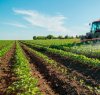 https://www.tp24.it/immagini_articoli/21-04-2022/1650561843-0-psr-sicilia-bandi-per-120-milioni-destinati-ad-agricoltori-e-allevatori.jpg