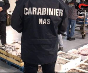 https://www.tp24.it/immagini_articoli/21-09-2020/1600681197-0-sicurezza-alimentare-e-norme-anti-covid-controlli-dei-nas-dei-carabinieri-a-marsala.jpg