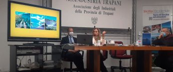 https://www.tp24.it/immagini_articoli/21-12-2021/1640099713-0-distretto-turistico-della-sicilia-occidentale-rosalia-d-ali-confermata-presidente-nbsp.jpg