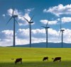 https://www.tp24.it/immagini_articoli/22-07-2019/1563816937-0-energie-rinnovabili-sicilia-assegna-competenze-allassessorato-ambiente.jpg