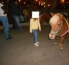 https://www.tp24.it/immagini_articoli/22-10-2013/1382428544-0-ponies-alla-villa-di-trapani-per-far-diverire-i-bambini-contrario-enrico-rizzi.jpg