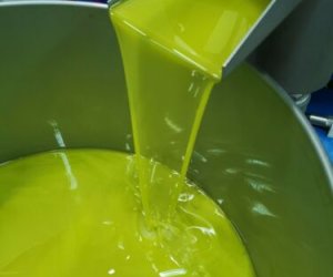 https://www.tp24.it/immagini_articoli/22-10-2021/1634892587-0-olio-di-oliva-il-prezzo-in-sicilia-si-mantiene-stabile.jpg