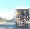 https://www.tp24.it/immagini_articoli/22-11-2017/1511360427-0-foto-giovani-africani-stipati-bestie-furgone-castelvetrano.jpg
