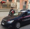 https://www.tp24.it/immagini_articoli/23-04-2018/1524485387-0-trapani-coltivava-marijuana-balcone-casa-arrestato-carabinieri.jpg