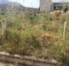 https://www.tp24.it/immagini_articoli/23-06-2018/1529753701-0-cimitero-trapani-neanche-morti-riposano-pace.jpg