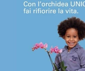 https://www.tp24.it/immagini_articoli/23-09-2020/1600853591-0-nbsp-torna-l-orchidea-unicef-in-10-piazze-della-provincia-contro-la-malnutrizione-dei-bambini.jpg