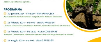 https://www.tp24.it/immagini_articoli/24-01-2024/1706086129-0-a-pantelleria-un-laboratorio-su-la-pratica-agricola-della-vite-ad-alberello.png