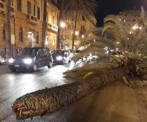 https://www.tp24.it/immagini_articoli/24-02-2019/1551036171-0-sicilia-danni-maltempo-rischio-crollo-anche-monumento-vittime-mafia.jpg