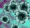https://www.tp24.it/immagini_articoli/24-02-2020/1582530219-0-coronavirus-italia-aggiornamenti-domande-risposte.jpg
