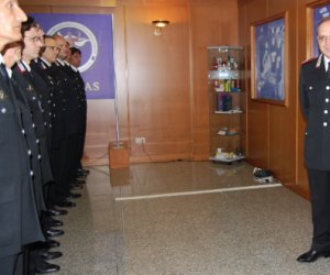 https://www.tp24.it/immagini_articoli/24-06-2015/1435144291-0-carabinieri-l-ex-comandante-di-trapani-vincelli-alla-guida-dei-nas.png