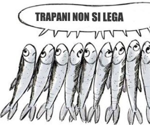 https://www.tp24.it/immagini_articoli/24-12-2019/1577199575-0-sardine-arrivano-trapani-preparano-scendere-piazza.jpg