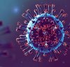 https://www.tp24.it/immagini_articoli/25-10-2022/1666682135-0-arriva-in-sicilia-cerberus-la-nuova-variante-del-coronavirus-ecco-le-novita-nbsp.jpg