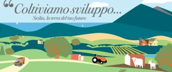 https://www.tp24.it/immagini_articoli/25-11-2015/1448430243-0-agricoltura-approvato-il-psr-sicilia-per-lisola-ci-saranno-22-miliardi-di-euro.jpg