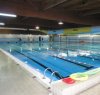 https://www.tp24.it/immagini_articoli/25-11-2017/1511603055-0-trapani-piscina-comunale-assegnata-allassociazine-acquarius-prossimi-anni.jpg