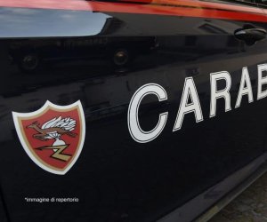 https://www.tp24.it/immagini_articoli/25-11-2019/1574690740-0-trapani-litiga-strada-donna-aggredisce-carabinieri-arrestata.jpg