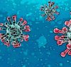 https://www.tp24.it/immagini_articoli/26-02-2020/1582696381-0-coronavirus-trapani-negativi-testi-casi-sospetti-lezioni-sospese-alluniversita.jpg