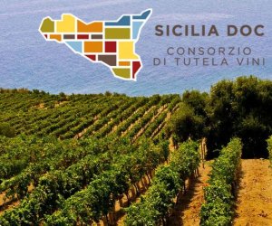 https://www.tp24.it/immagini_articoli/27-02-2021/1614457585-0-in-calo-tutte-le-nbsp-doc-sicilia-38-mila-ettolitri-di-vino-in-meno-nbsp.jpg