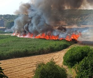 https://www.tp24.it/immagini_articoli/27-02-2024/1709065964-0-nbsp-incendi-il-consiglio-dei-ministri-da-nbsp-l-ok-a-stato-di-emergenza-in-sicilia.jpg
