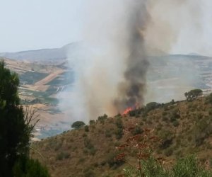 https://www.tp24.it/immagini_articoli/27-06-2020/1593283916-0-alcamo-vasto-incendio-ha-colpito-il-bosco-angimbe.jpg